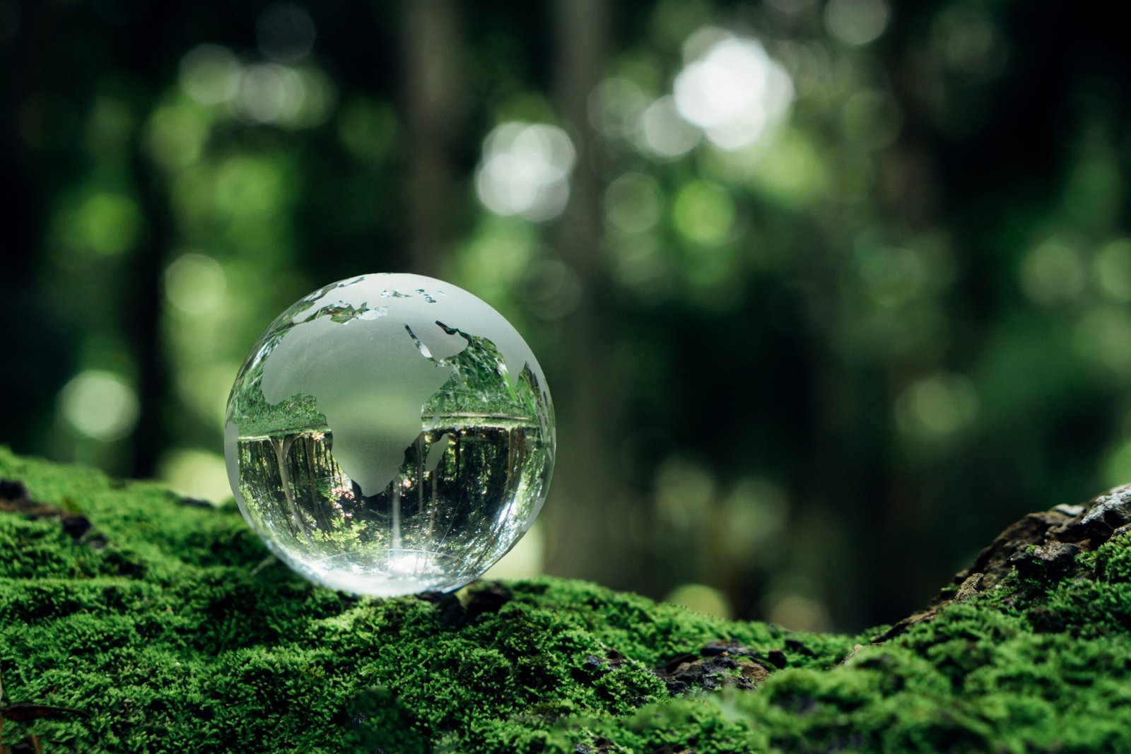 Crystal earth on moss with nature background.Environment, save clean planet, ecology concept.World sustainable environment concept.